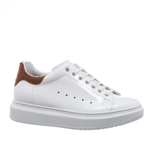 Uomo GUIDOMAGGI Scarpe In Pelle Esotica | Sneakers>Gold Coast